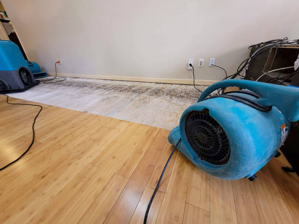 Professional Water Damage Repair technician working in Boling, TX